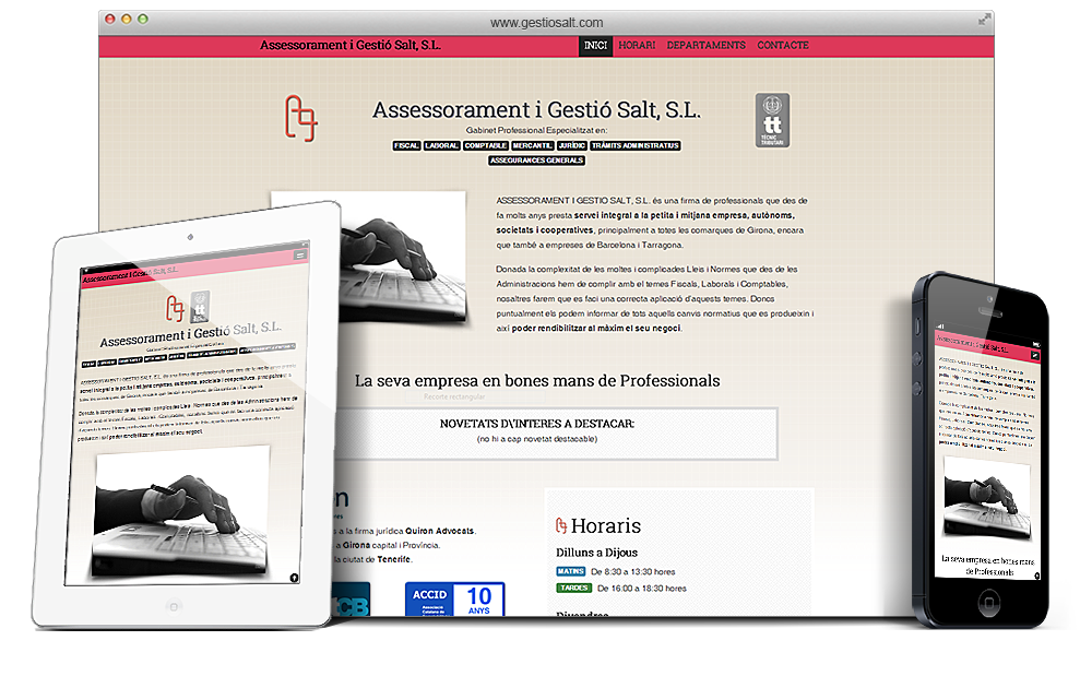 Web www.gestiosalt.com (2013)