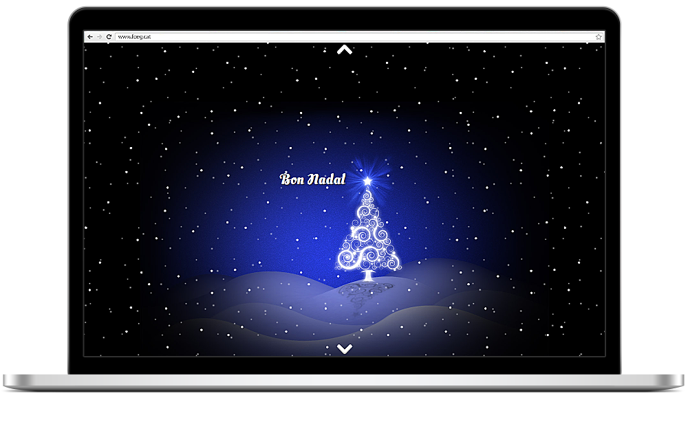 Web Postal de Nadal FOEG (2013)