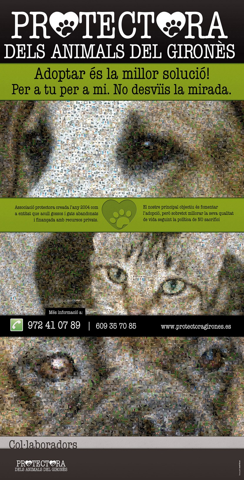 Disseny Rollups Protectora Animals del Gironès (2011)